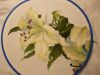 DSCN8399.JPG