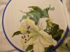 DSCN8400.JPG