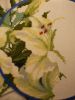 DSCN8404.JPG