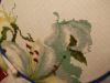 DSCN8464.JPG