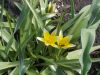DSCN8470.JPG