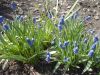DSCN8472.JPG