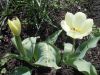 DSCN8473.JPG