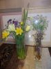 DSCN8481.JPG