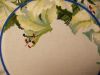 DSCN8494.JPG