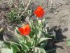 DSCN8499.JPG