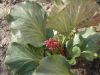DSCN8504.JPG