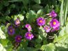 DSCN8508.JPG