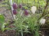 DSCN8509.JPG