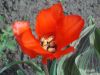 DSCN8510.JPG