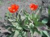 DSCN8511.JPG