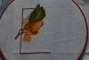 DSC_0151_1002x664.jpg