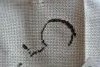 DSC_2784.thumb.JPG.9067ef7429669b7ec9e4e