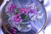IMAG0207.thumb.jpg.6707ce557c11a5a933f77