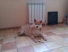 IMAG0967.jpg