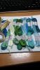 IMG-20160401-WA0005.thumb.jpeg.af158202b