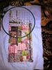IMG_20150906_201303.jpg