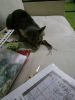 IMG_20160402_205720.jpg