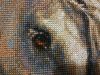 IMG_20160403_184331.jpg
