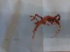 IMG_20160410_183258.jpg