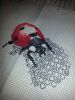IMG_20160419_183034_63.jpg