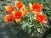 IMG_20160420_110818.jpg