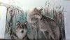 WIN_20160329_072701.thumb.JPG.773a21e882
