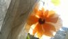 WIN_20160409_14_31_15_Pro.jpg