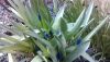 WIN_20160409_15_16_49_Pro.jpg