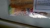 WP_20160401_06_45_19_Pro.thumb.jpg.93f6c