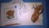 WP_20160411_00_03_34_Pro.thumb.jpg.d5773