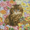 dmc-k4178-fluffy.jpg