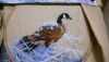 wp_20160406_21_52_26_pro.jpg