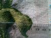 10372558_1042519319124349_8852569645002238639_n.jpg
