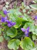 20160426_095257.jpg