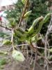20160426_101755.jpg
