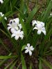 20160428_193350.jpg