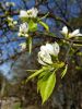 20160429_083953.jpg