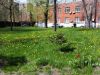 20160429_111259.jpg