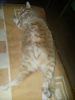20160430_172113.jpg
