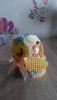20160501_160439.jpg