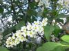 20160504_150020.jpg