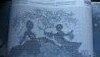 20160505_140811.thumb.jpg.9c36585906fb90