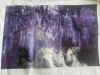 20160507_093537.jpg