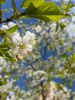 20160507_122036.jpg