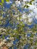 20160507_122058.jpg