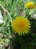 20160507_122129.jpg