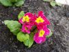 20160507_122228.jpg