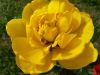 20160507_145415.jpg