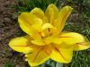20160507_145436.jpg